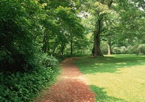 幅広い悩みの解決に対応する相談の窓口