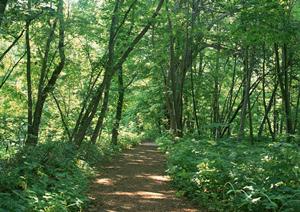 誠意ある対応をするさいたま市の精神科